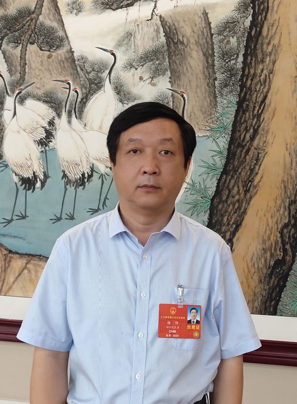 2.全国人大代表、中国科学院院士、星空(中国)副总经理杨伟